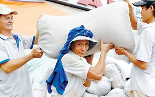 Xuất khẩu gạo Việt sắp phá kỷ lục 2011 xuat khau gao viet sap pha ky luc 2011